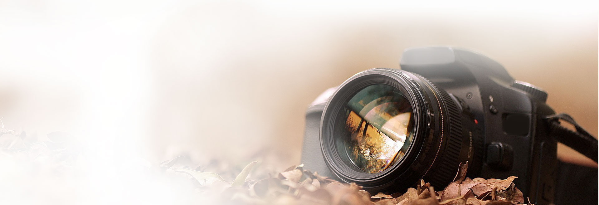 Point and Shoot Photography
